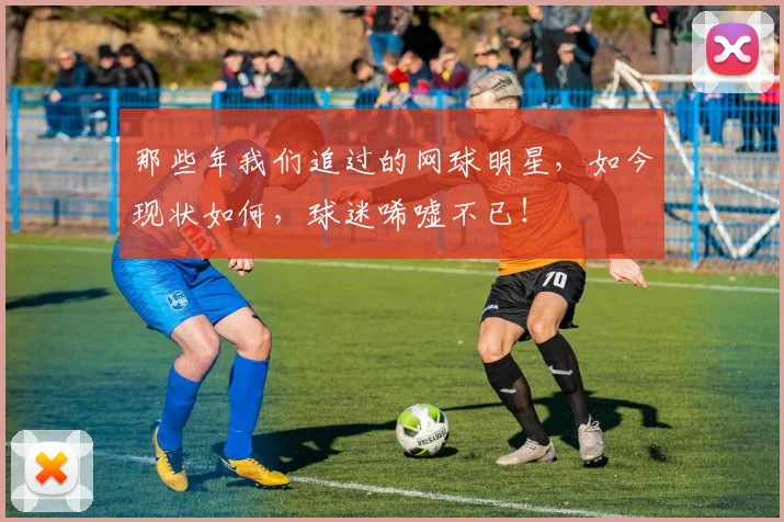 那些年我们追过的网球明星,如今现状如何,球迷唏嘘不已!