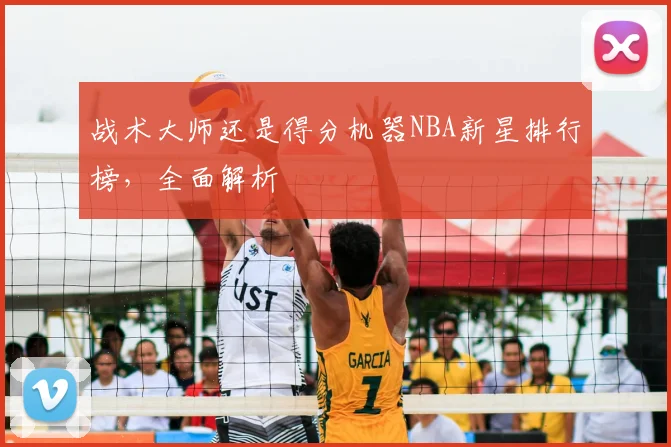 战术大师还是得分机器NBA新星排行榜，全面解析