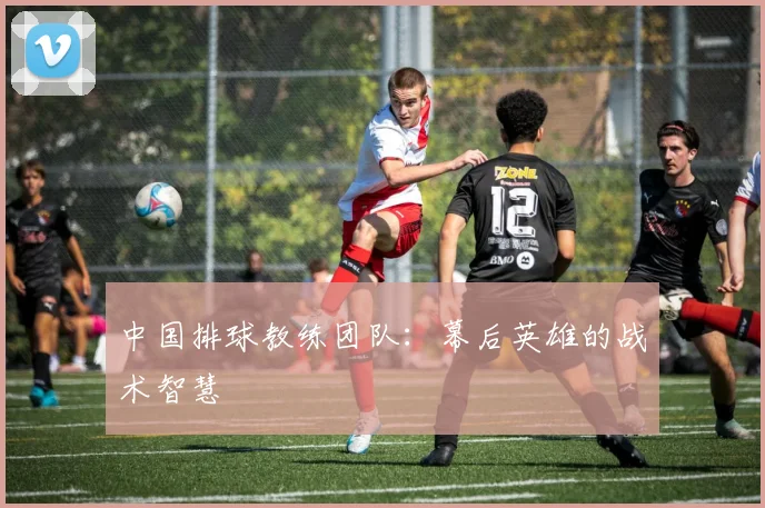 中国排球教练团队:幕后英雄的战术智慧